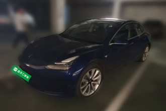 特斯拉 Model 3 2019款 标准续航后驱升级版