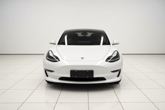 特斯拉 Model 3(进口) 2019款 长续航全轮驱动版