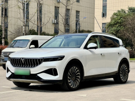 岚图汽车 岚图FREE 2021款 四驱标准纯电专属豪华套装