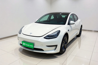 特斯拉 Model 3(进口) 2019款 标准续航后驱升级版(52度)