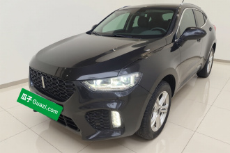 魏牌 VV5 2019款 1.5T 两驱智先锋