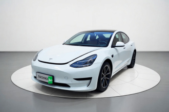 特斯拉 Model 3 2021款 标准续航后驱升级版 3D6