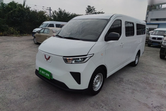 五菱汽车 五菱扬光 2024款 300km 舒适型客车版 60kW