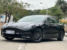 特斯拉 Model 3(进口) 2019款 长续航后驱版