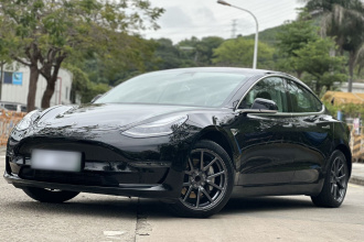 特斯拉 Model 3(进口) 2019款 长续航后驱版