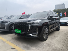 星途揽月 2023款 400T 两驱星睿版 6座