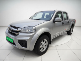 长城 风骏5 2023款 2.0T 柴油两驱进取型大双