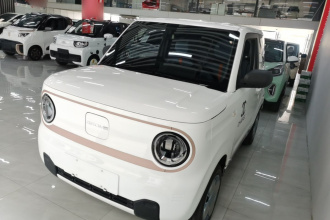 吉利银河 2024款 熊猫mini 200km 耐力熊