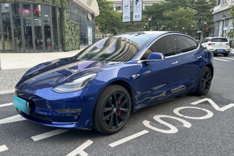 特斯拉 Model 3(进口) 2019款 长续航后驱版