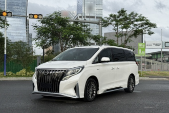 广汽传祺 传祺M8 2021款 大师系列 390T 至尊版