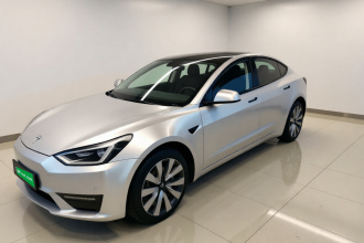 特斯拉 Model 3 2021款 标准续航后驱升级版 3D6
