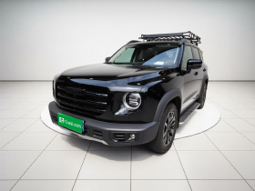 哈弗大狗 2022款 1.5T DCT两驱拉布拉多版