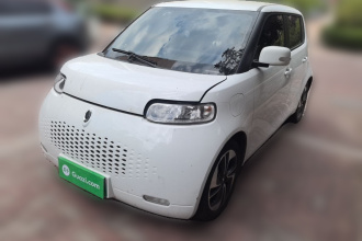 欧拉白猫 2020款 360km 豪华型