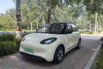 五菱汽车 五菱缤果 2025款 333km 悦享款