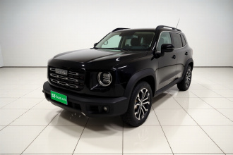 哈弗大狗 2021款 1.5T DCT两驱边牧版