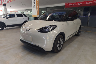 五菱汽车 五菱缤果 2024款 333km 悦享款