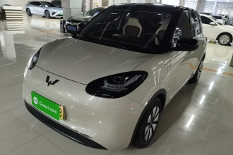 五菱汽车 五菱缤果 2024款 333km 悦享款