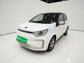 思皓 花仙子 2021款 302km 豪华型 30.2kWh