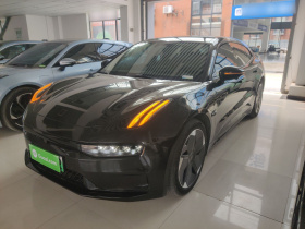 极氪001 2022款 长续航双电机 WE版