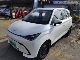 凯翼拾月 2026款 Mate 201km 周年版