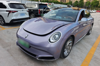 欧拉闪电猫 2022款 555km 尊贵版
