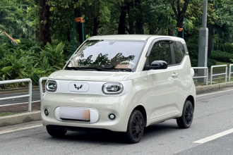 五菱汽车 宏光MINIEV 2024款 第三代 215km 青春版