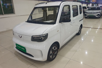 五菱汽车 五菱之光新能源 2025款 305km 进取型