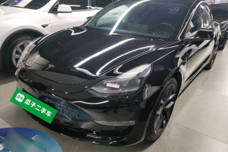 特斯拉 Model 3 2021款 Performance高性能全轮驱动版 3D6