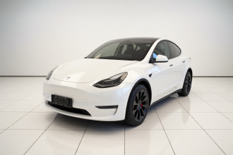 特斯拉 Model Y 2021款 标准续航后驱版
