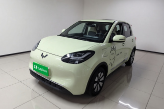 五菱汽车 五菱缤果 2023款 333km 悦享款