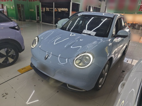欧拉好猫 2021款 400km标准续航 缪斯版 磷酸铁锂