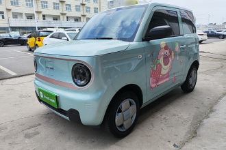 吉利银河 2024款 改款 熊猫mini 200km 龙腾版