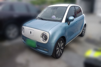 欧拉黑猫 2021款 351km 豪华型