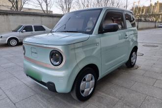 吉利银河 2023款 熊猫mini 200km 耐力熊