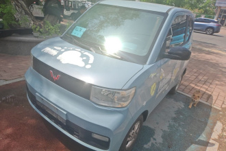 五菱汽车 宏光MINIEV 2020款 轻松款 磷酸铁锂