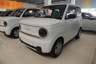 吉利银河 2024款 熊猫mini 200km 耐力熊