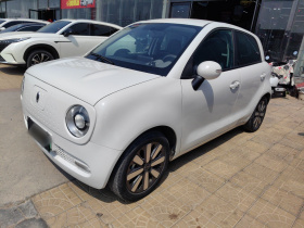 欧拉黑猫 2021款 351km 标准型