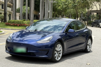 特斯拉 Model 3 2019款 标准续航后驱升级版