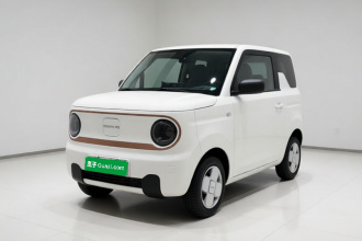 吉利银河 2024款 熊猫mini 200km 龙腾PRO版