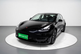 特斯拉 Model 3 2020款 标准续航后驱升级版