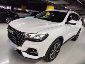 哈弗H6 2023款 国潮版 1.5T 自动冠军版