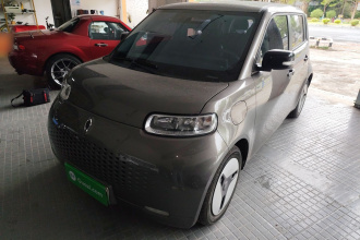 欧拉白猫 2020款 360km 豪华型