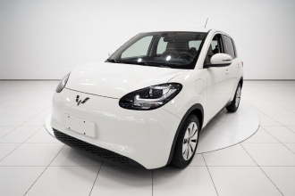 五菱汽车 五菱缤果 2023款 333km 快享款
