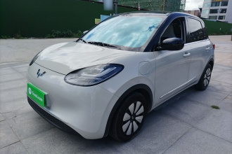 五菱汽车 五菱缤果 2024款 333km 悦享款