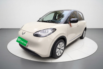 五菱汽车 五菱缤果 2023款 203km 轻享款