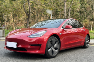 特斯拉 Model 3 2020款 标准续航后驱升级版