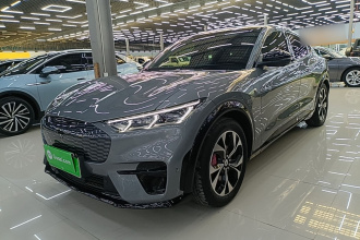 福特电马 2021款 无疆后驱豪华版(长续航)