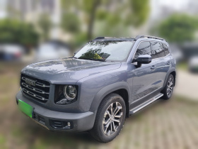 哈弗大狗 2021款 1.5T DCT两驱边牧版