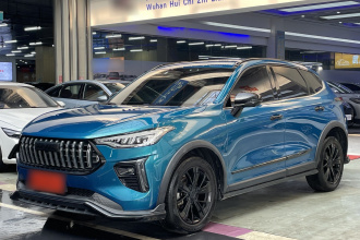 哈弗赤兔 2021款 激擎版 1.5T 黄金兔