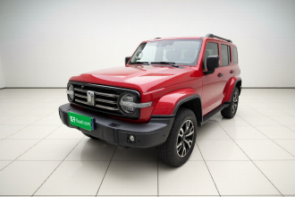 坦克300 2021款 城市版 2.0T 很有型